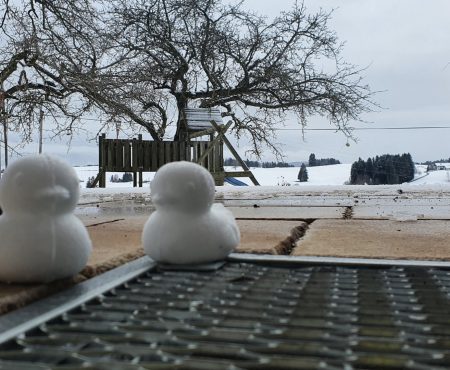Aus Schnee geformte Enten sitzen auf der Terrasse